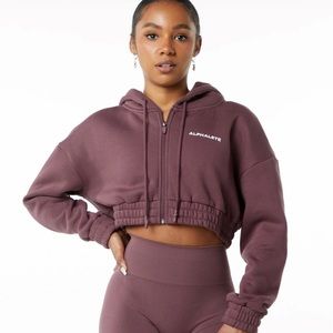 Alphalete crop hoodie in Autumn